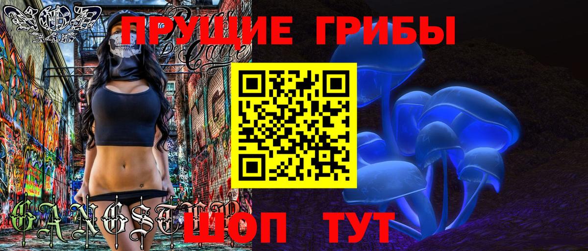 Псилоцибиновые грибы GOLDEN TEACHER Среднеуральск